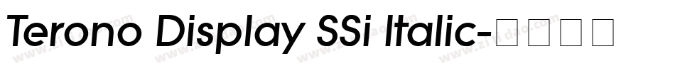 Terono Display SSi Italic字体转换
